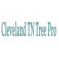 Cleveland TN Tree Pro Clevelandtn Treepro